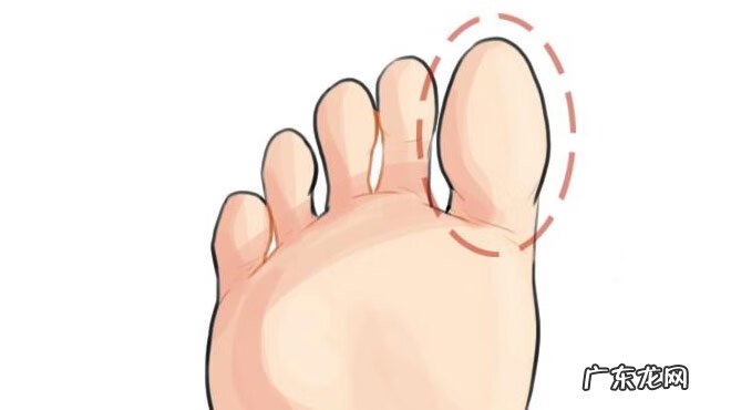 小脚趾很小说明什么 小脚趾很长代表什么