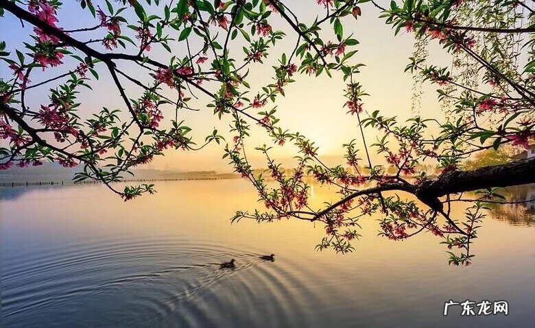 江山风月本无主 江风水月无常主出处