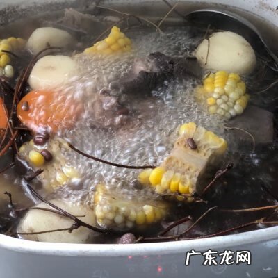 鸡骨草和什么煲汤的好 鸡骨草汤的做法