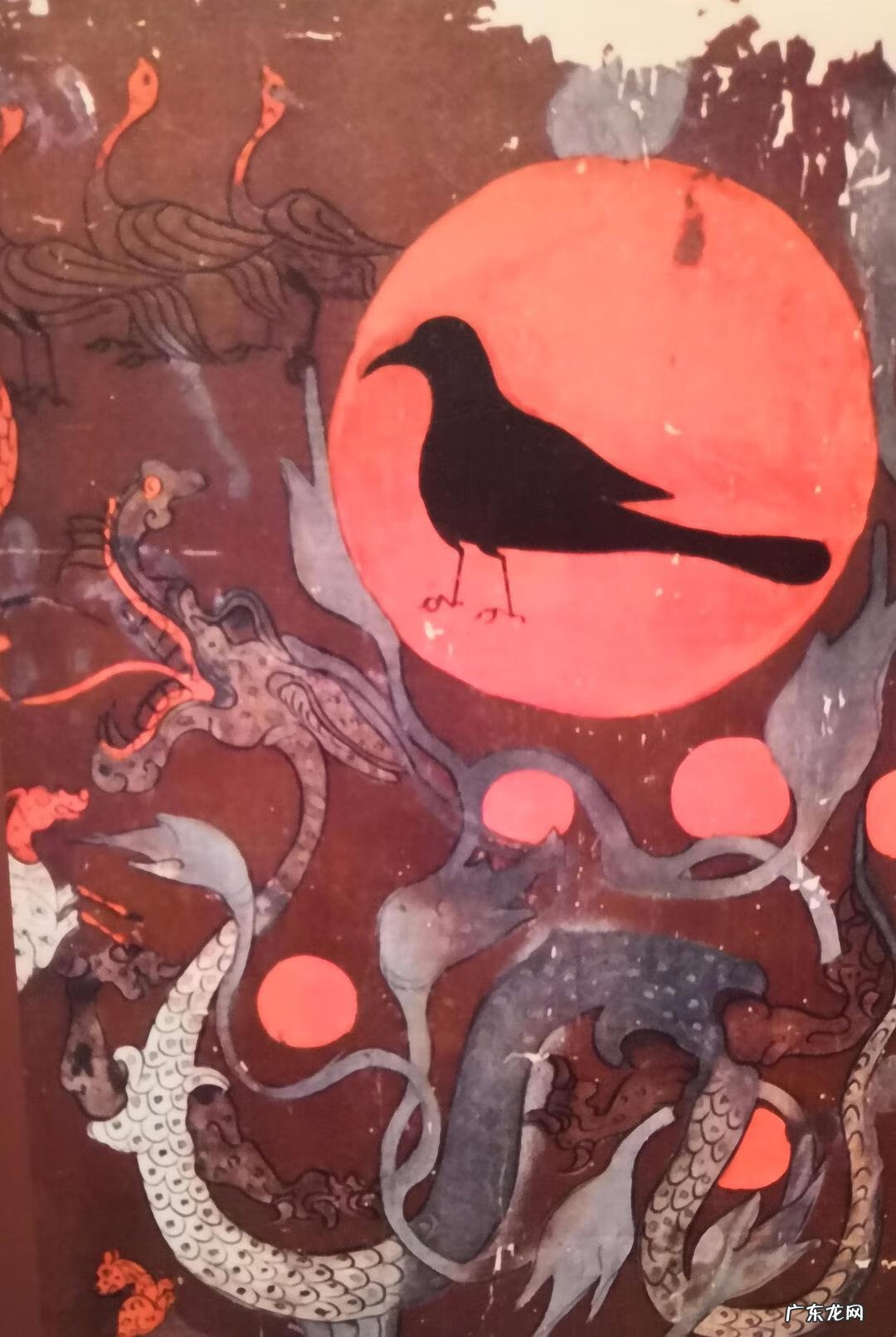 米莱狄的克星 风水太阳鸟的克星