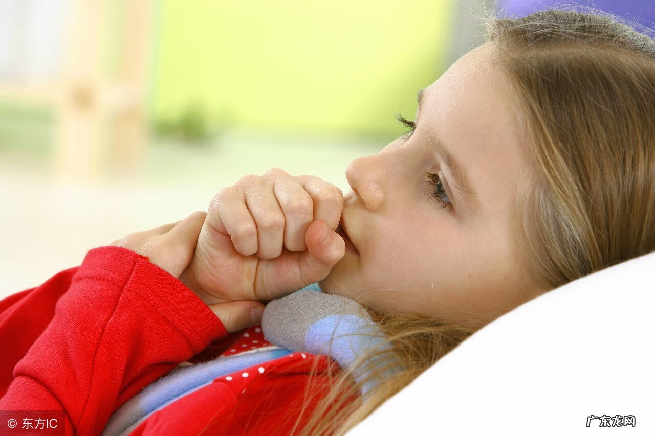 五味子的功效与作用及禁忌 五味子的功效与作用及用量