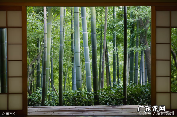 虎哥说风水 唐山宝哥风水