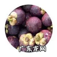 孕妇可不可以吃山竹 孕妇能吃山竹吗 孕早期