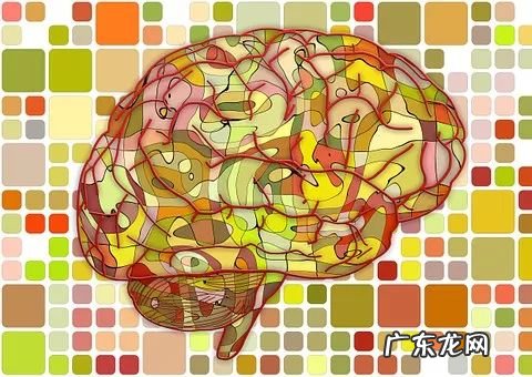 dha都有什么成分 dha是什么东西