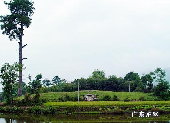 十三陵选址风水大师 十三陵风水谁看的