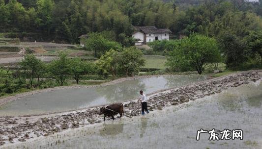 十三陵选址风水大师 十三陵风水谁看的