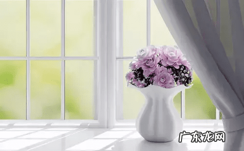 房顶上放瓶子有什么讲究 风水学上房间吊空瓶