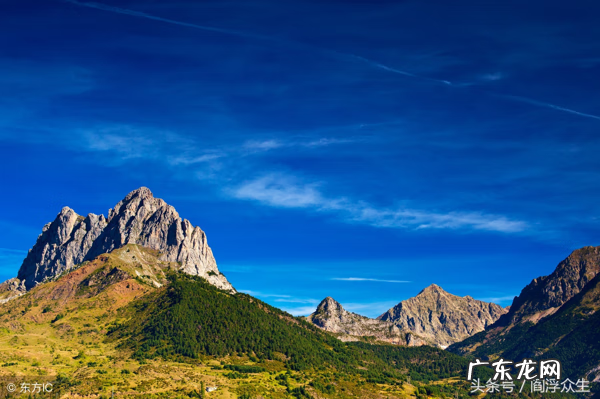 风水中的虾须蟹眼图片 风水中虾须蟹眼