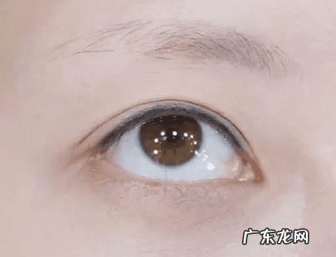 眉毛短的人财运怎么样 短眉毛的人好不好