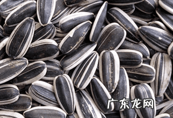 葵花籽的功效与作用及食用方法 葵花籽的功效与作用及营养价值