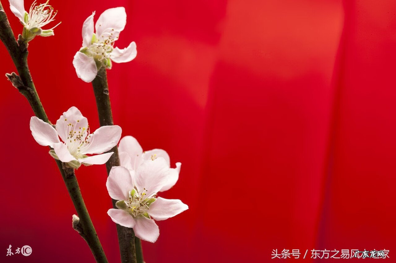 风水四大局图 风水四大方位