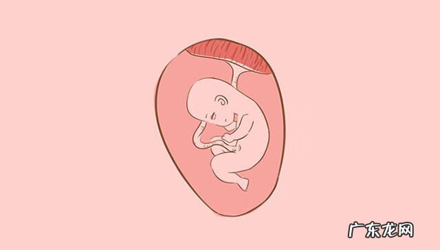 胎儿在肚子里 胎儿