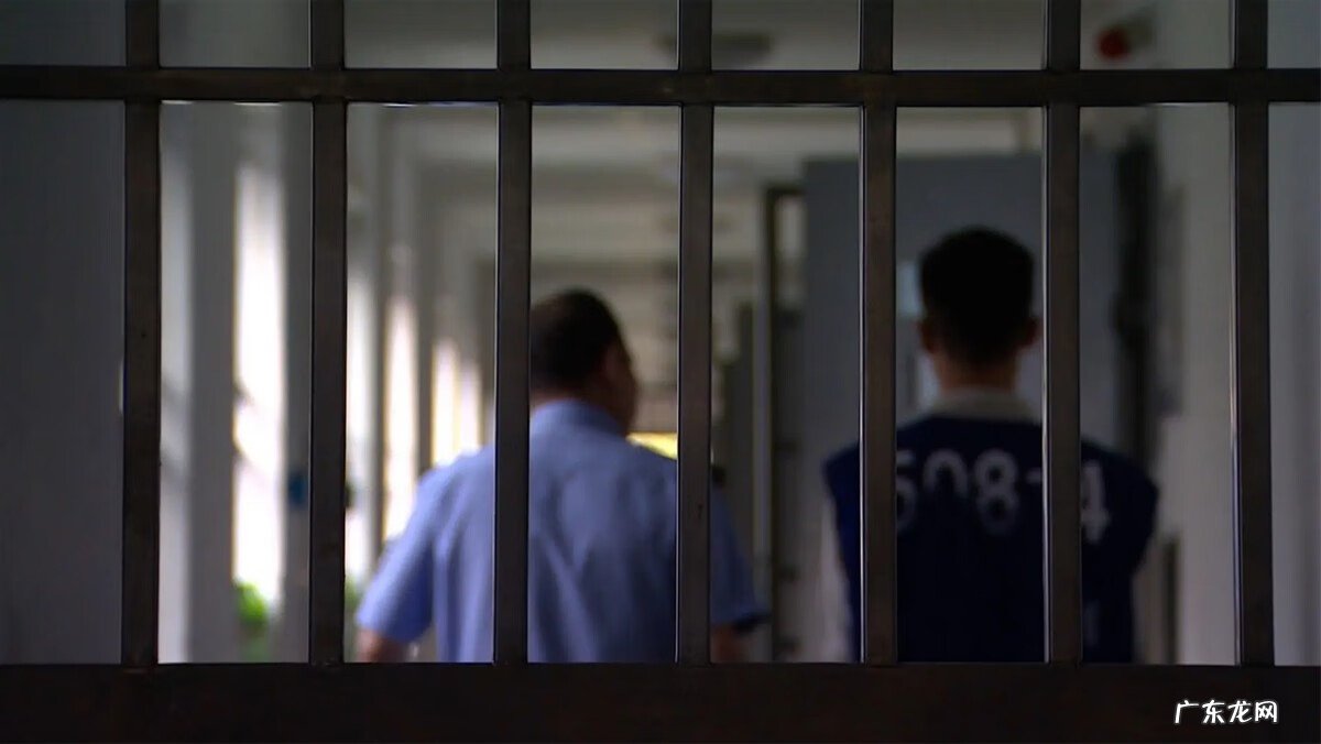 风水知识王黛林下载 风水先生王林