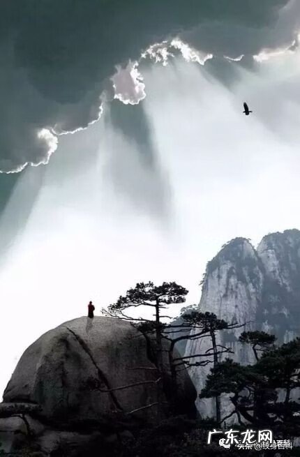 水彩泼墨纹身 水墨画风格纹身