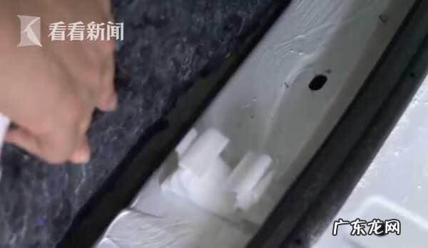 车上突然很多蚂蚁什么征兆 车内发现蚂蚁风水