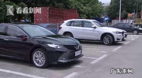 车上突然很多蚂蚁什么征兆 车内发现蚂蚁风水