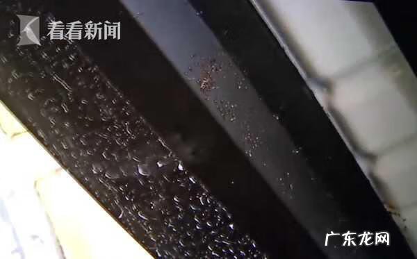 车上突然很多蚂蚁什么征兆 车内发现蚂蚁风水