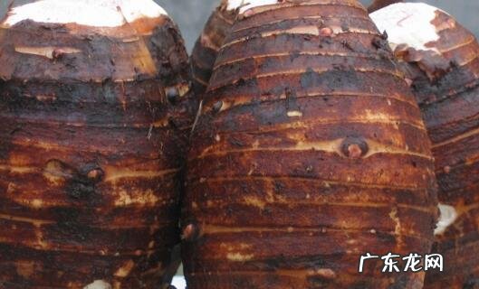 芋头为啥会手痒 芋头手痒会持续多久