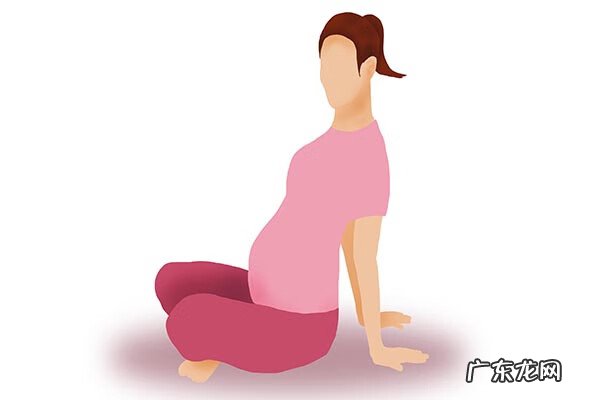 葡萄籽粉的食用方法 葡萄籽粉的作用和功效