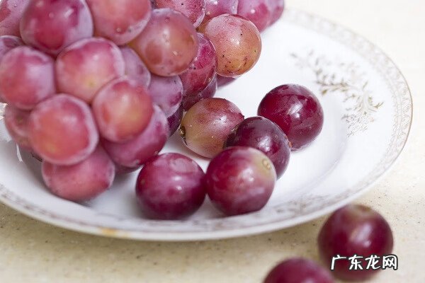 葡萄籽粉的食用方法 葡萄籽粉的作用和功效