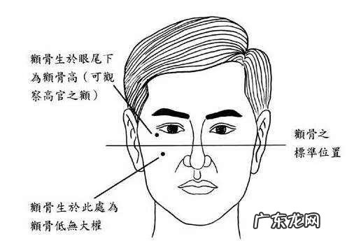前额骨头突出怎么回事 前额骨风水