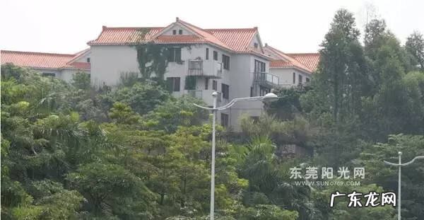 东莞有哪些出名的风水大师 东莞市风水最好的地方