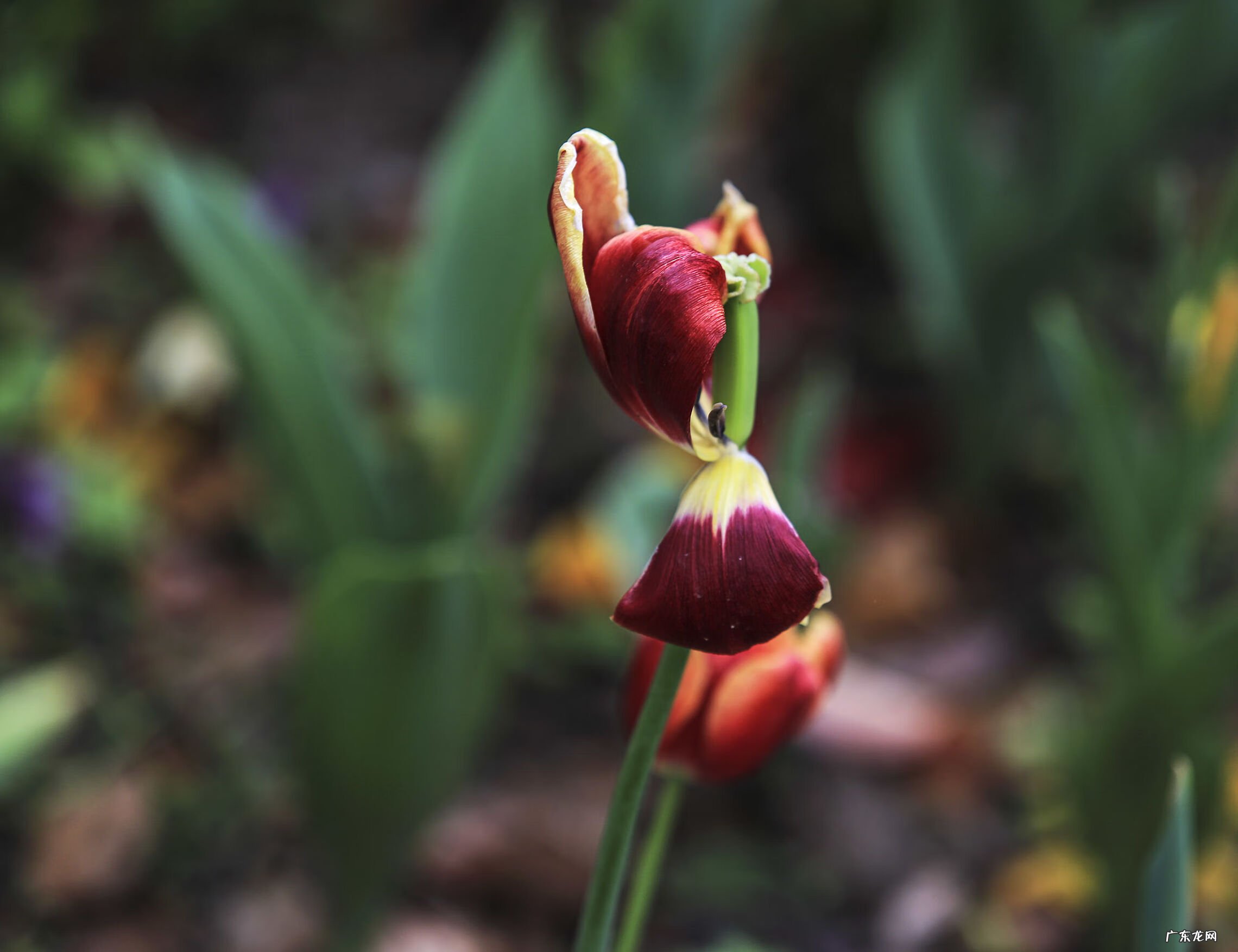 水管爆裂寓意 水管爆裂风水