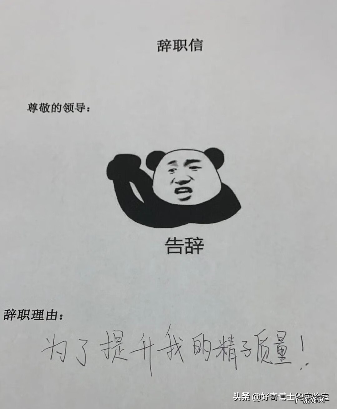 怎么能让精子质量提高 如何提高精子质量