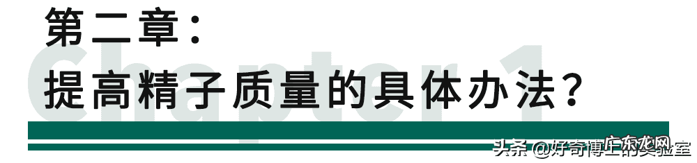 怎么能让精子质量提高 如何提高精子质量
