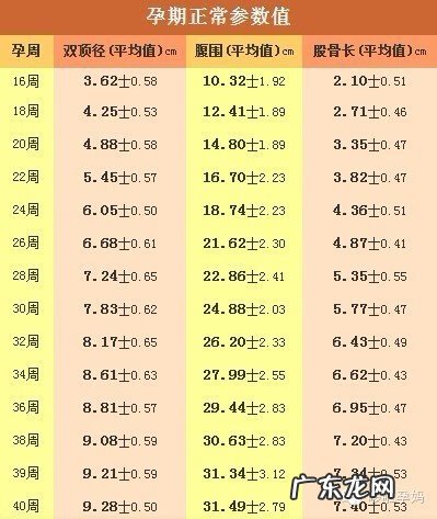 卵巢囊肿b超报告单 b超报告单图片