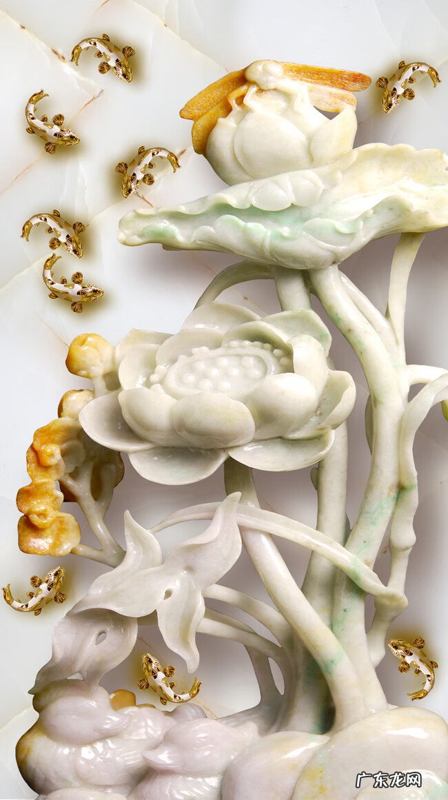 西北方位风水放什么好 风水学西北方位放什么好