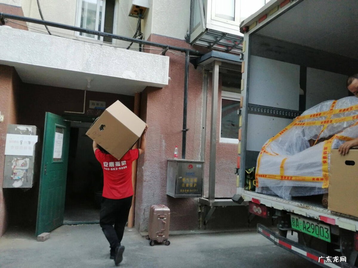 燕子搭窝说明有风水吗 金腰燕窝的风水