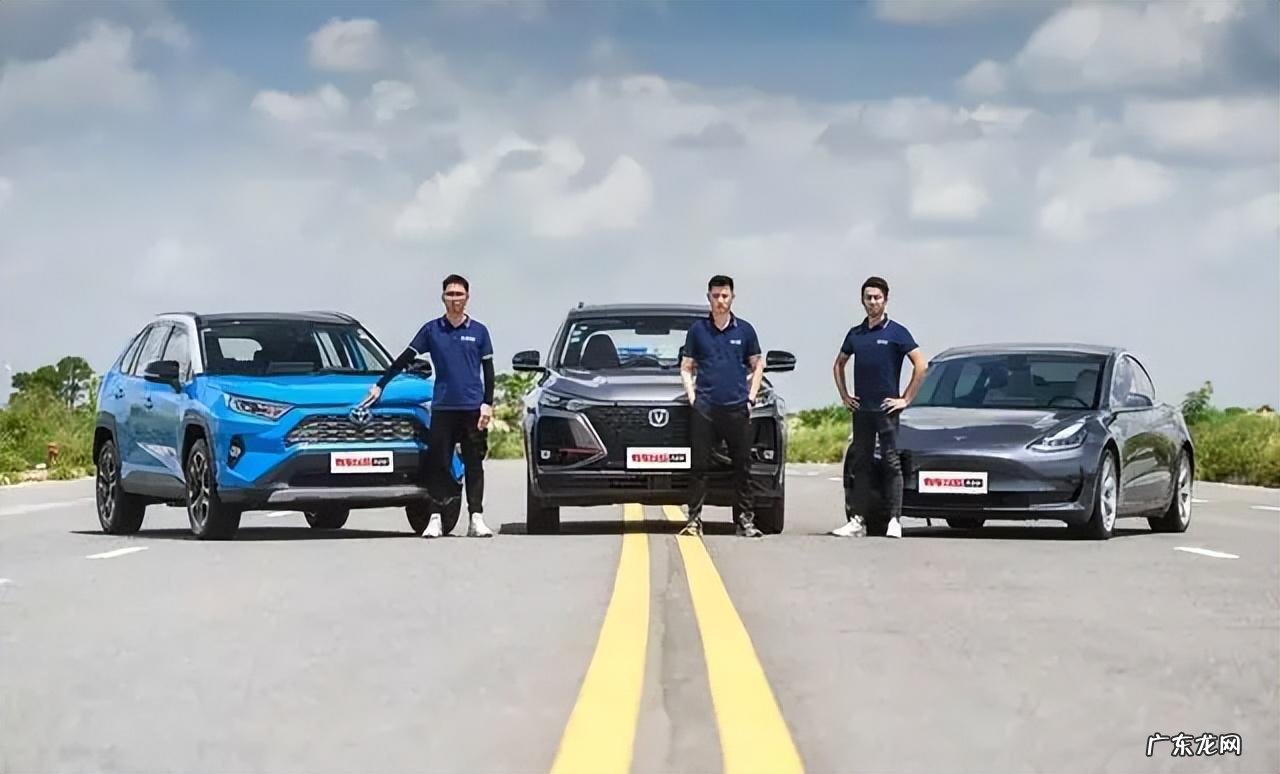 马斯克的“阑尾”，薛定谔的猫