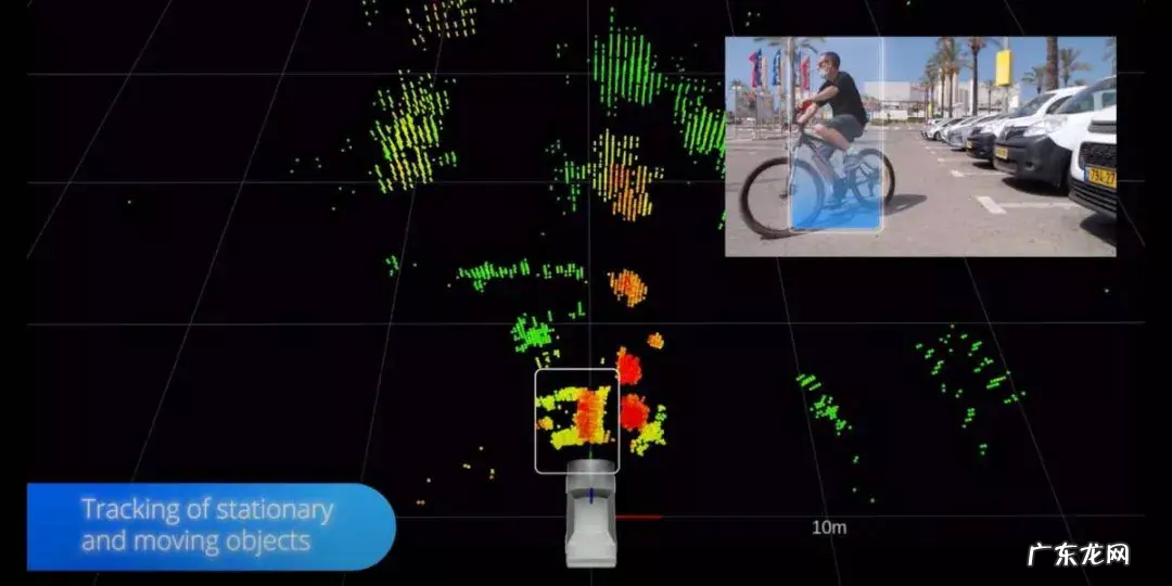 马斯克的“阑尾”，薛定谔的猫