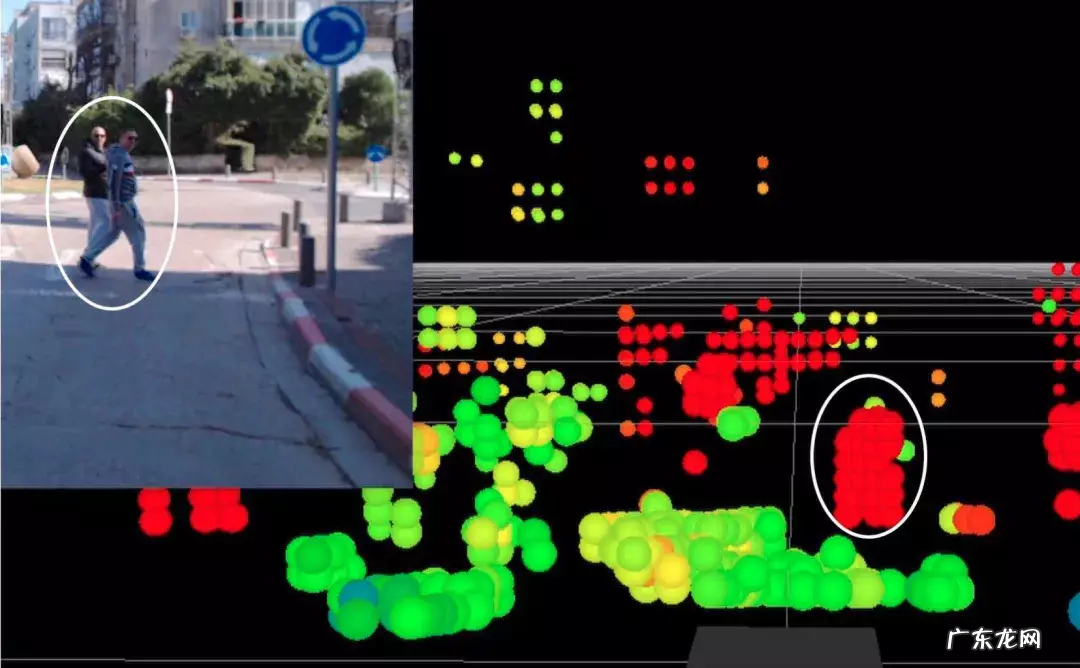 马斯克的“阑尾”，薛定谔的猫