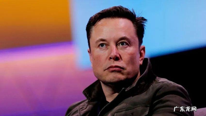 千万网友拱火马斯克离开推特，本人：安排