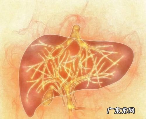 肝火旺什么症状有哪些 肝火旺的症状有哪些表现