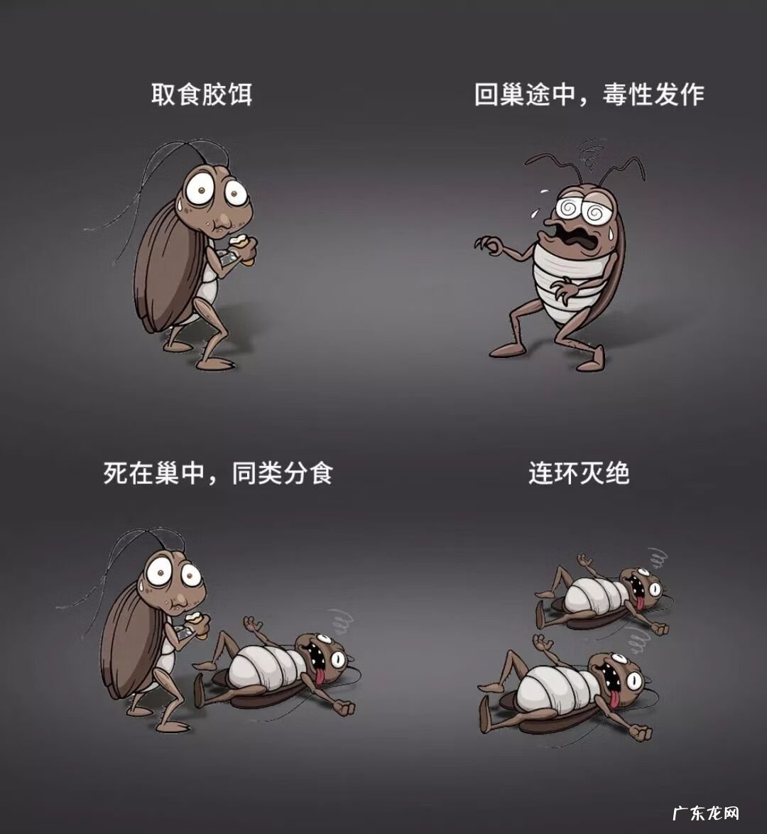 灭蟑螂 消灭蟑螂文案
