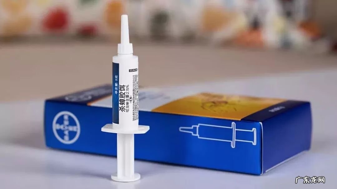 灭蟑螂 消灭蟑螂文案