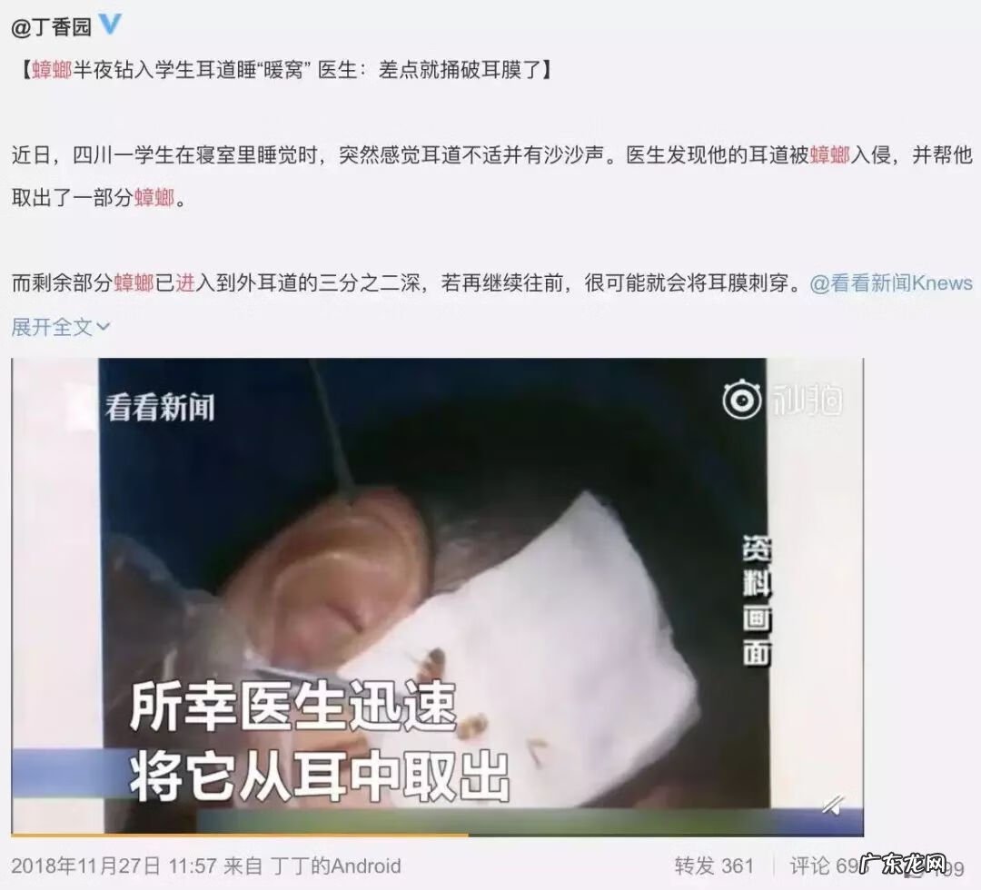 灭蟑螂 消灭蟑螂文案