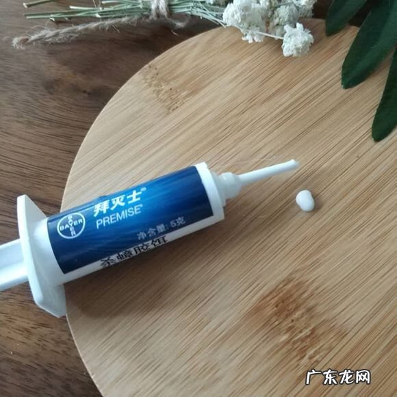 灭蟑螂 消灭蟑螂文案