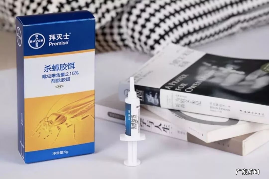 灭蟑螂 消灭蟑螂文案