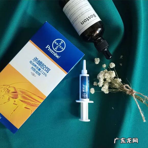 灭蟑螂 消灭蟑螂文案