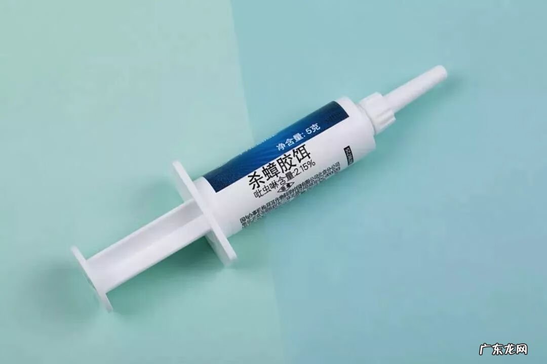 灭蟑螂 消灭蟑螂文案