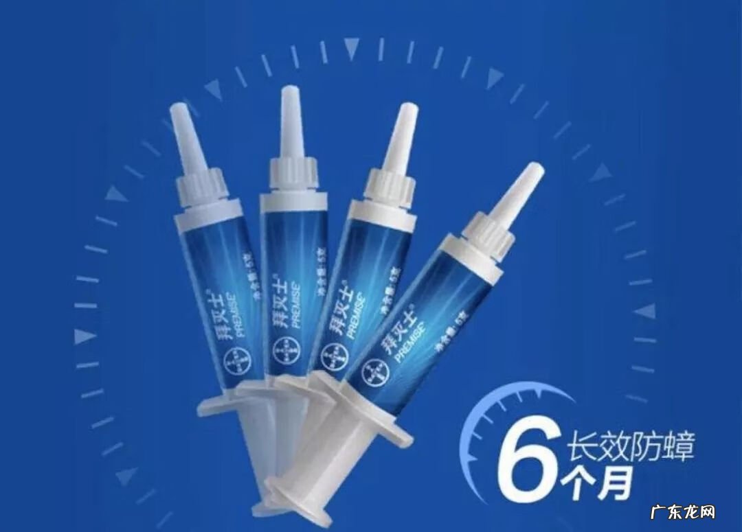 灭蟑螂 消灭蟑螂文案