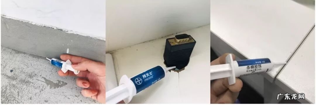 灭蟑螂 消灭蟑螂文案