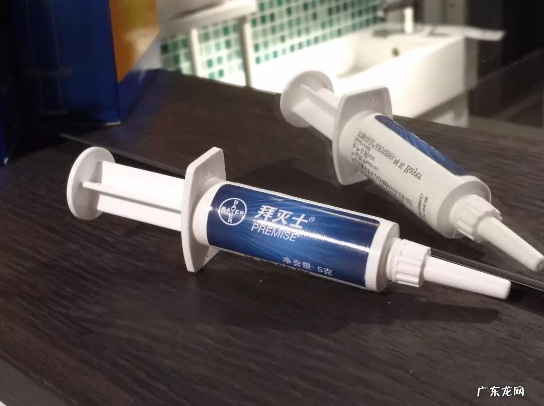 灭蟑螂 消灭蟑螂文案