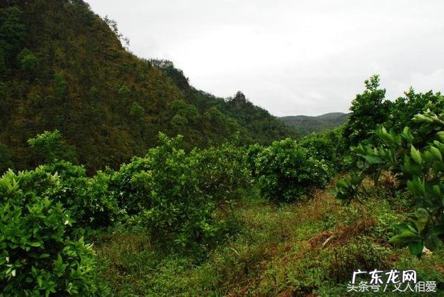 村庄风水怎么看 村庄风水知识