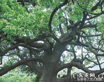 村庄风水怎么看 村庄风水知识