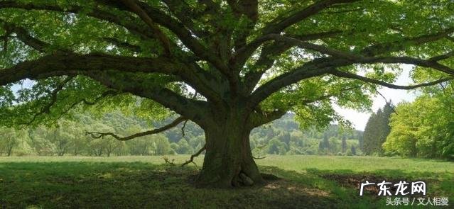 村庄风水怎么看 村庄风水知识